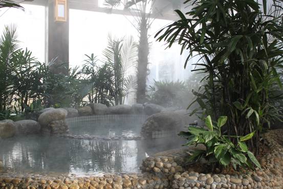 咸寧三江溫泉旅游度假區服裝設計方案,咸寧三江溫泉旅游度假村制服設計方案