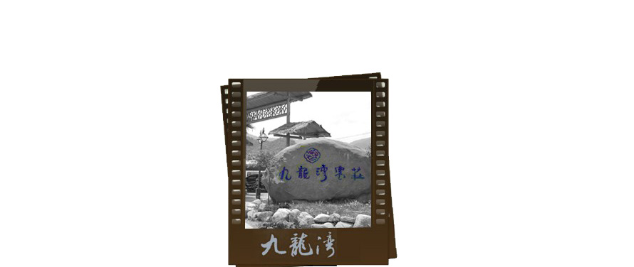 九龍灣休閑度假村員工服裝成功設(shè)計方案